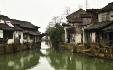 救援萌老虎